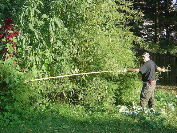 AMCAN16FT_9_5_08_200