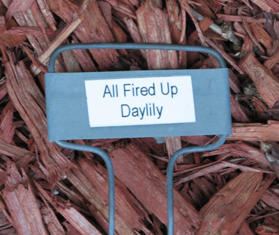 label