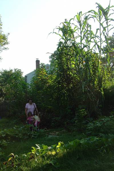 My mom and twin daughters next to some very tall corn