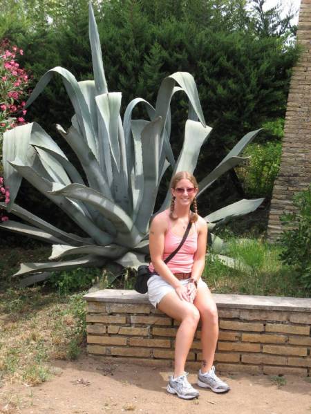 Wife &amp; Agave