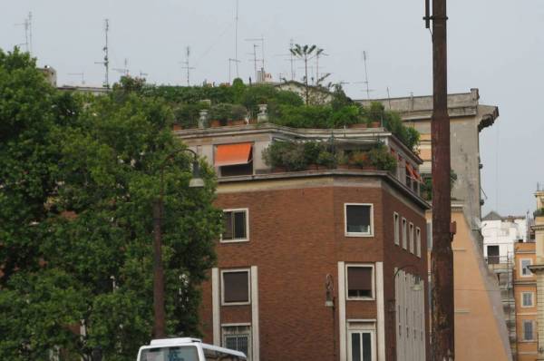 Rooftop Gardens