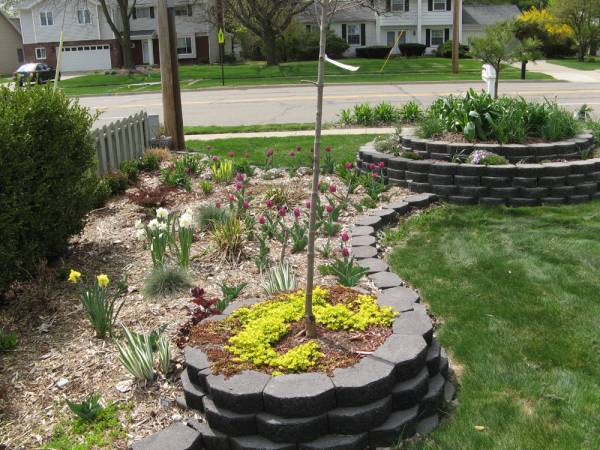 Another Spring 2008, bed is 1 year old.