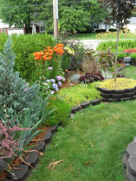 My Front Yard Garden July 2009
