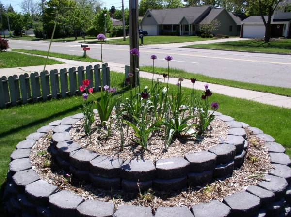 2005, first blooms in our new big round front bed