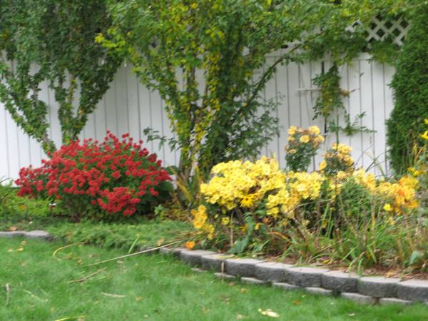 2006 Fall Back Garden, left
