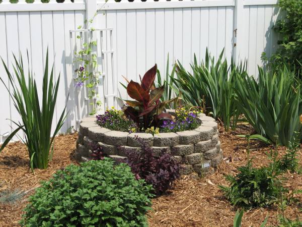 2006, Little Well with Calla Lily