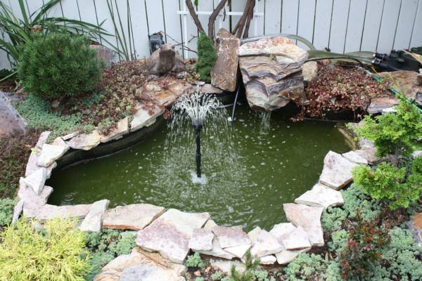 Water Garden New Fountain/Pump