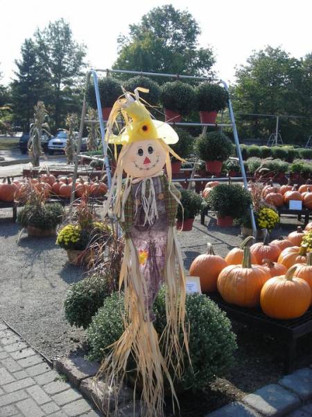 Scarecrow1