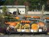 Pumpkins.jpg