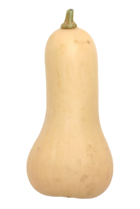 butternut-squash