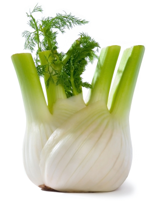 fennel