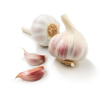 garlic
