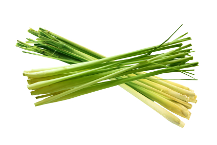 lemongrass