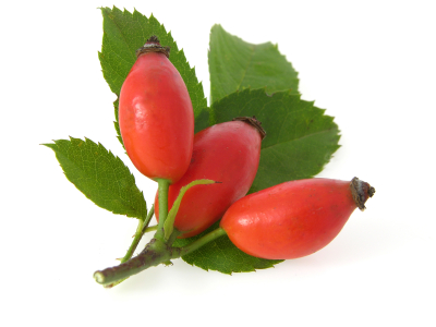 rose-hips