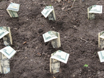 Grow Plants, Make Money