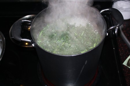 Kale Boiling